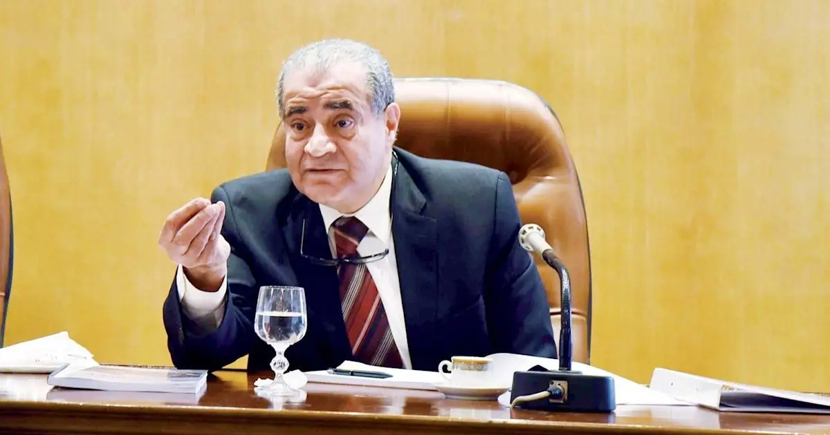 مصر تؤكد استقرار مخزونها الاستراتيجي من السلع الأساسية