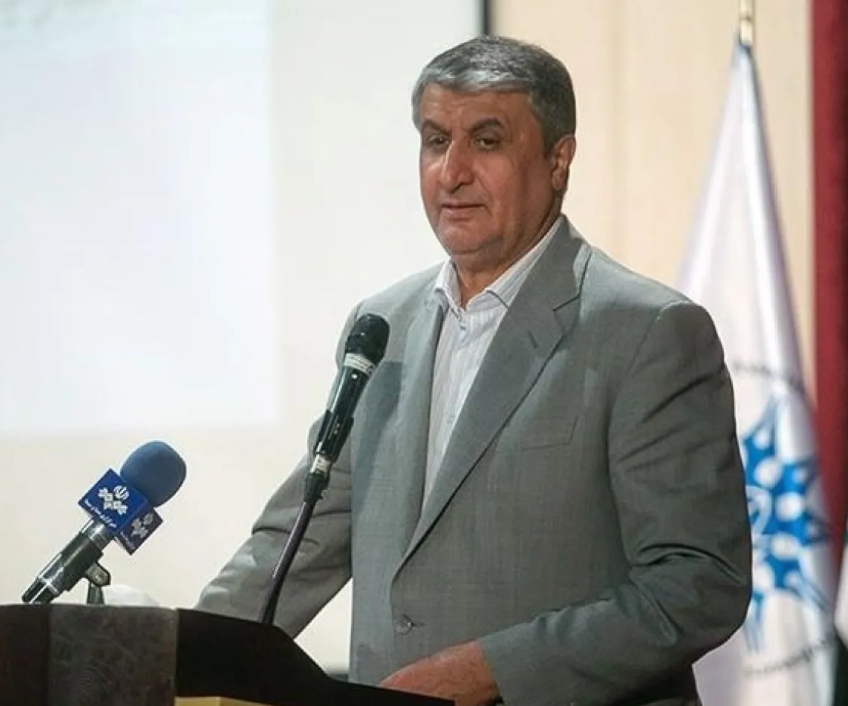 رئيس الطاقة الذرية الإيرانية: لا تفتيش للمواقع المستهدفة قبل إقرار بروتوكول خاص بالأمن