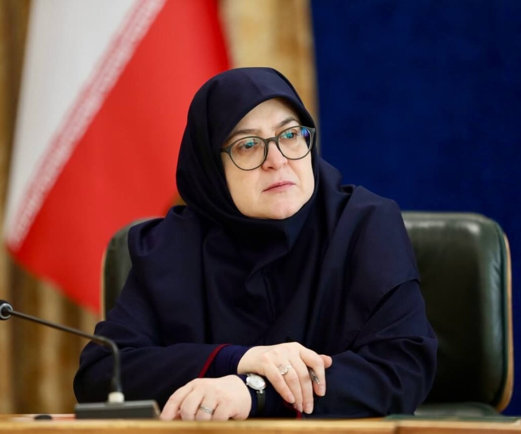 مهاجراني تصف الحظر الأميركي على الرحلات الجوية الإيرانية بـ”البلطجة”